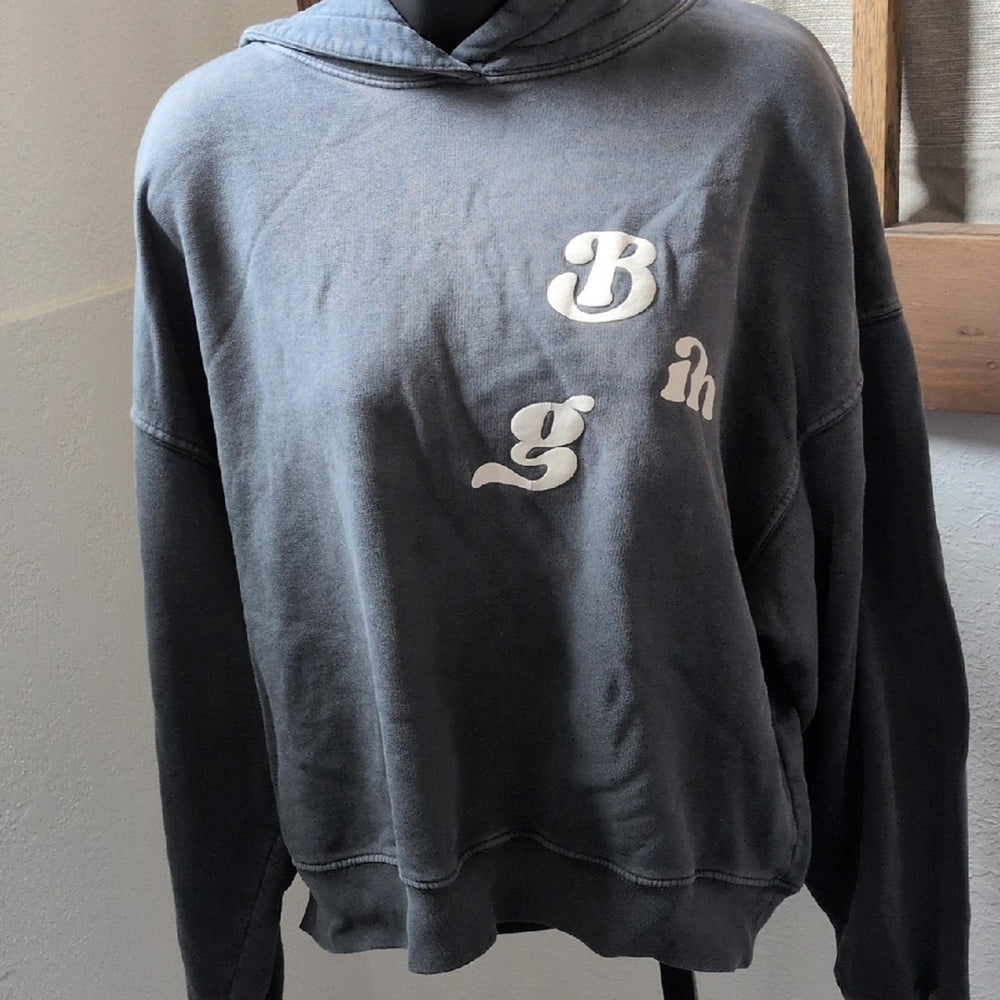 Anine Bing Alec Vintage Wash Hoodie In Gray