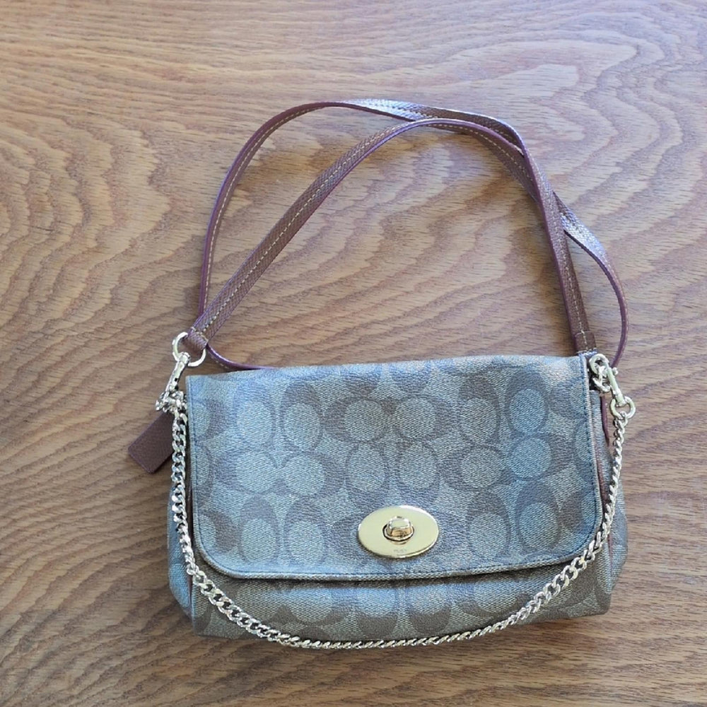 Coach Mini Ruby Crossbody Bag In Signature Print