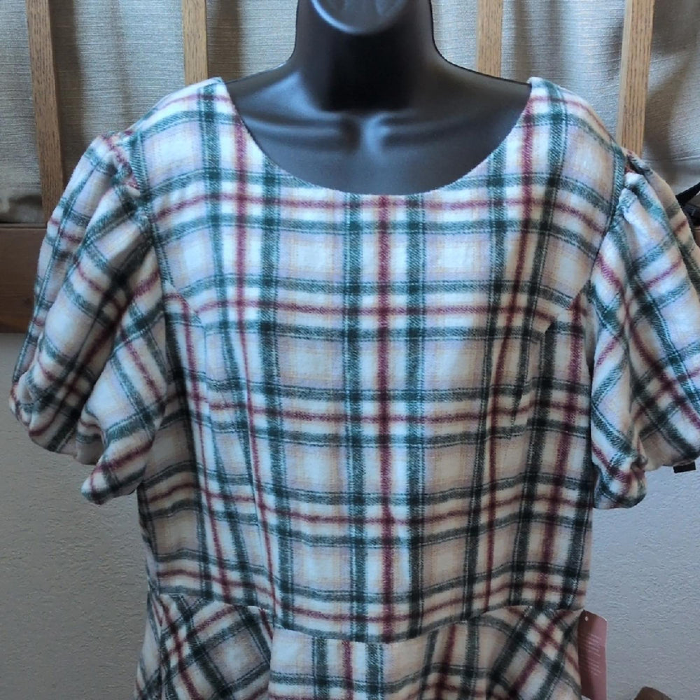 Ivy City Co Molly Plaid Flare Dress - 1XL