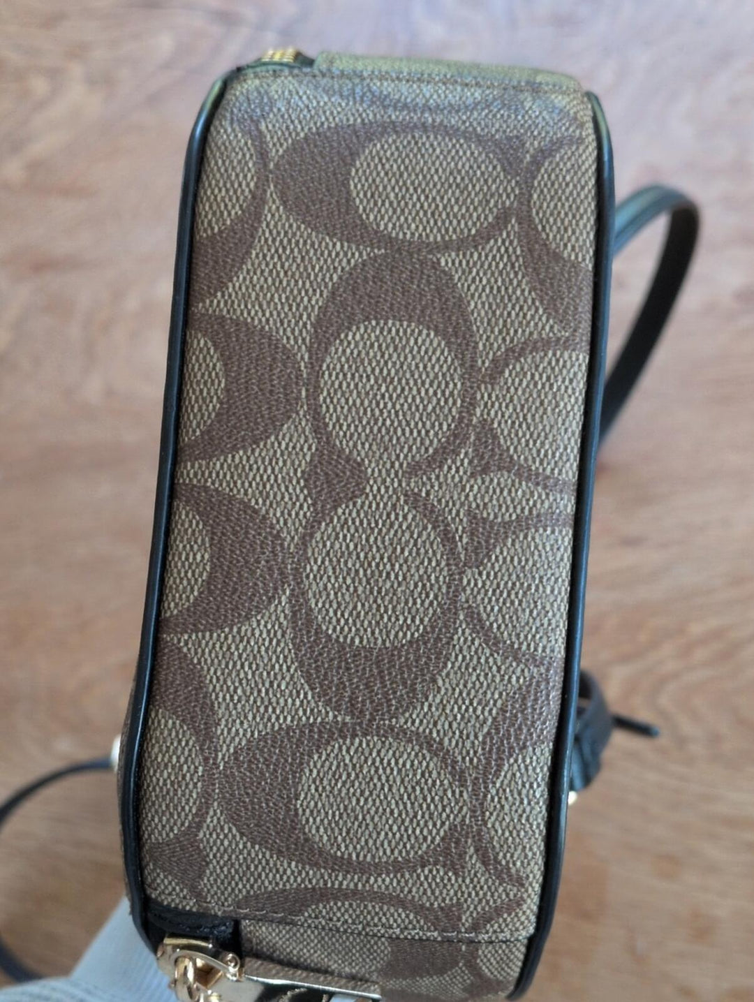 Coach X Jean-Michel Basquiat Dinosaur Canteen Crossbody bag