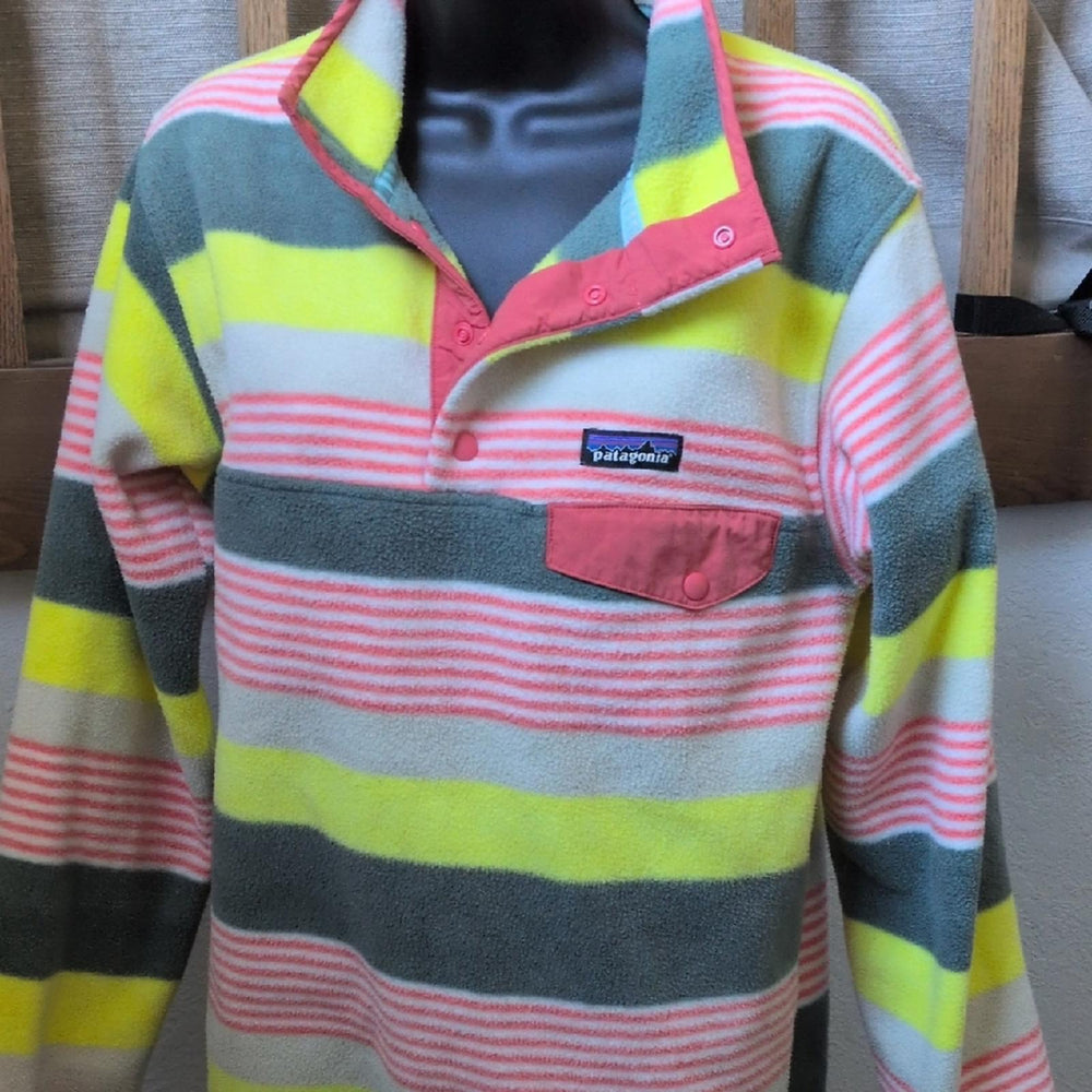 Patagonia Painted Fitz Snap-t Synchilla - Medium