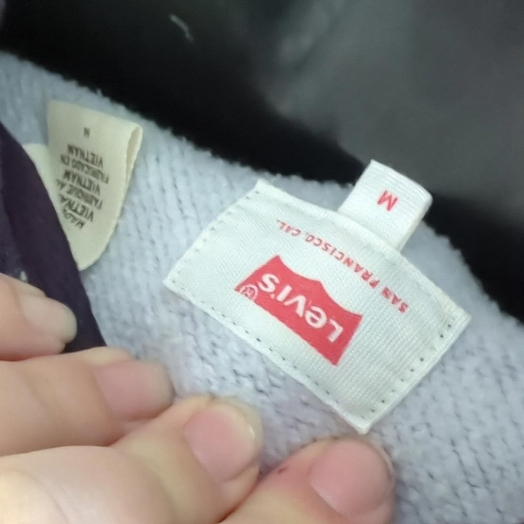 Levi's x Star wars graphic pull over hoodie