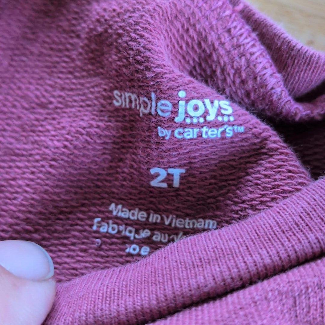 Carter's Simple Joys Floral Sweater Set - 2T