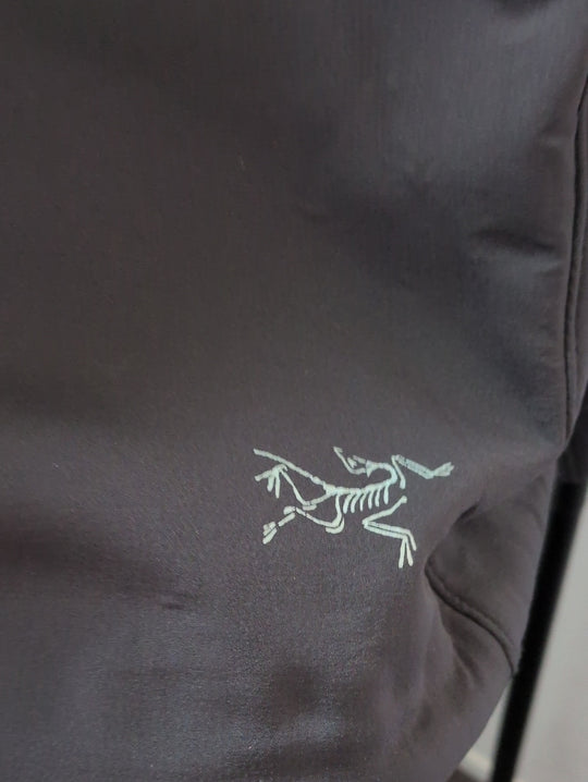 Arc'teryx Hyllus hooded jacket - Small