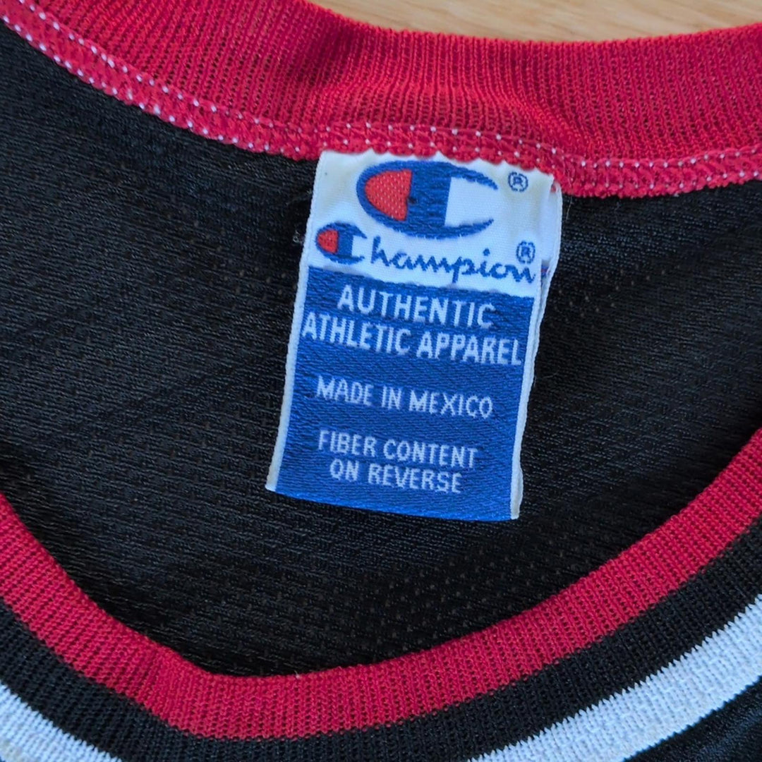 Vintage Chicago Bulls Rodman Jersey - Youth L (14-16)
