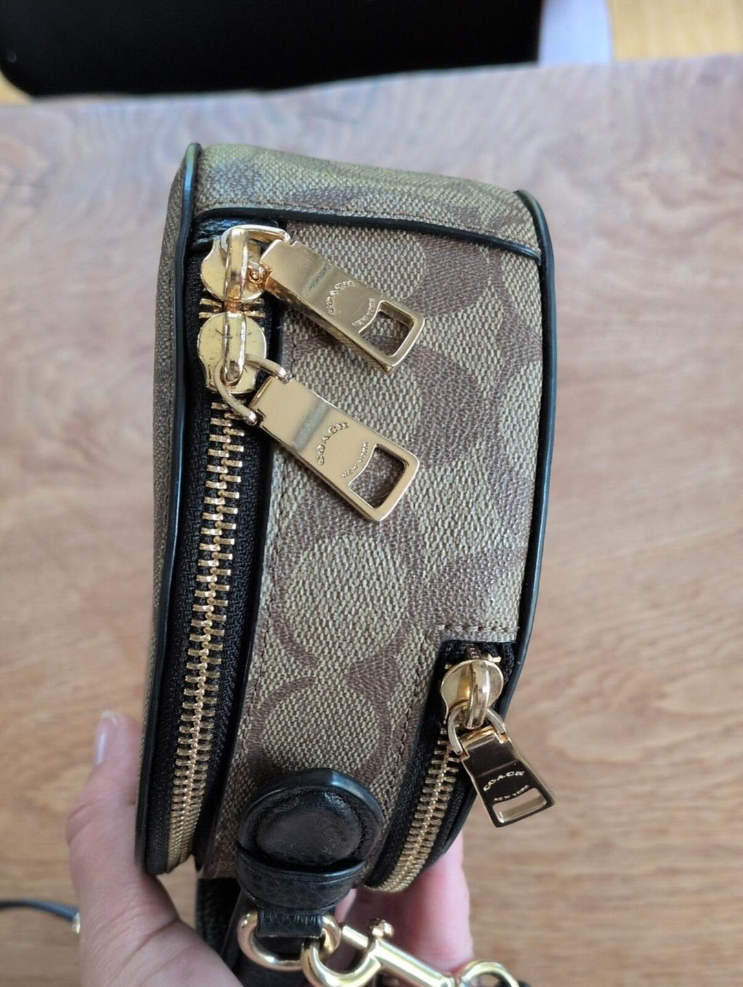 Coach X Jean-Michel Basquiat Dinosaur Canteen Crossbody bag