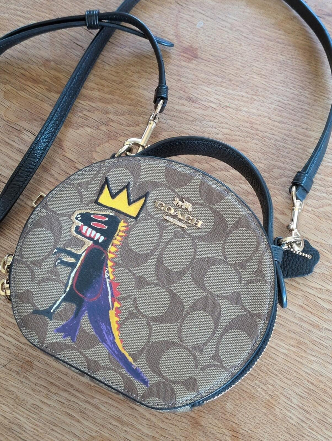 Coach X Jean-Michel Basquiat Dinosaur Canteen Crossbody bag