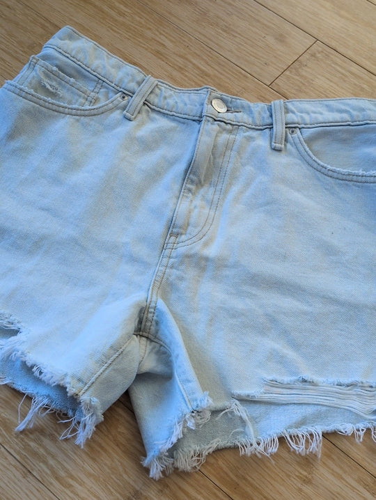 Hudson Devon Distressed Jean Shorts - 29