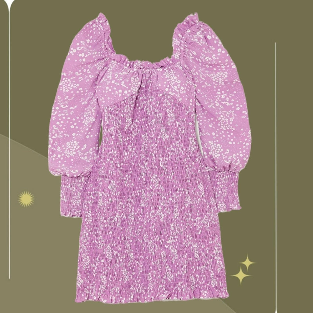 gombardy mini dress Faithfull the Brand- Gombardy Mini Smocked Dress Bisset Floral Print Small (4)