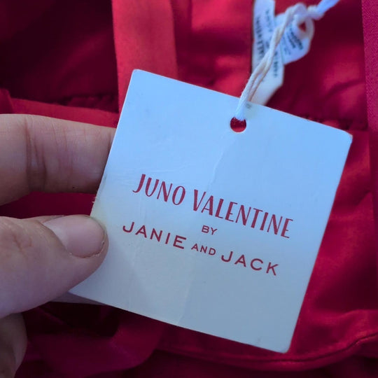Juno Valentine by Janie and Jack Tulle Formal Dress - 18-24 mo