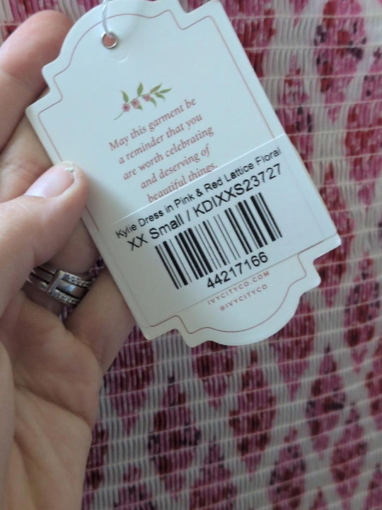 Ivy City Co Kylie Dress In Pink And Red Lattice Floral - XXS