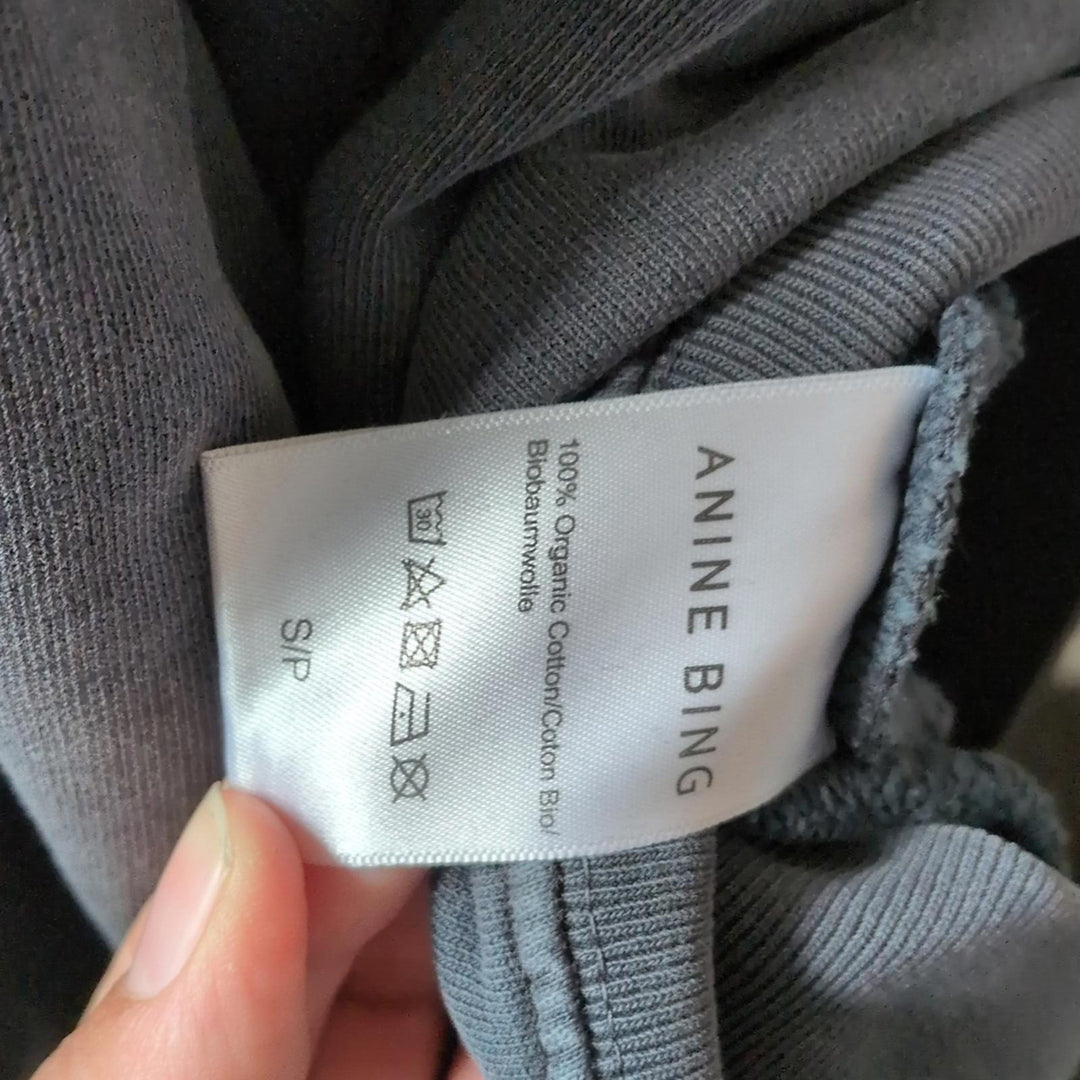 Anine Bing Alec Vintage Wash Hoodie In Gray