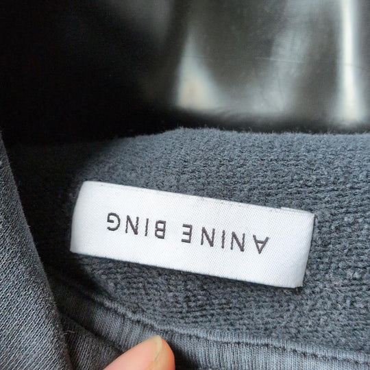 Anine Bing Alec Vintage Wash Hoodie In Gray