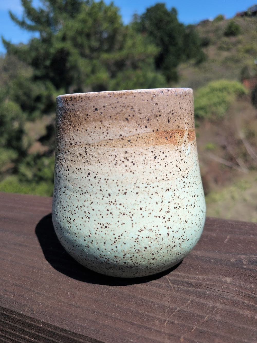Speckled Tumblers by Moonrise Pottery
