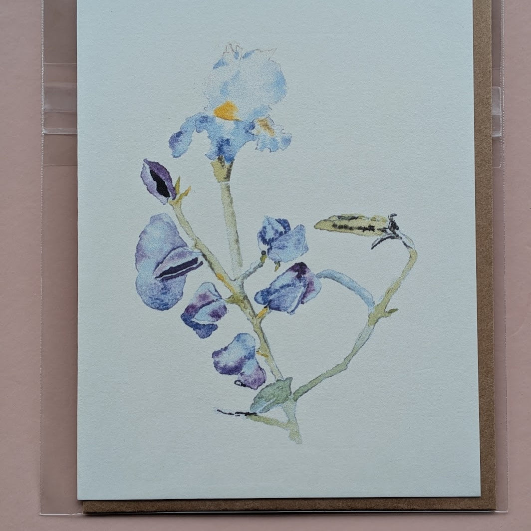 Watercolor Greeting Cards - Birthday, Thank You or Blank