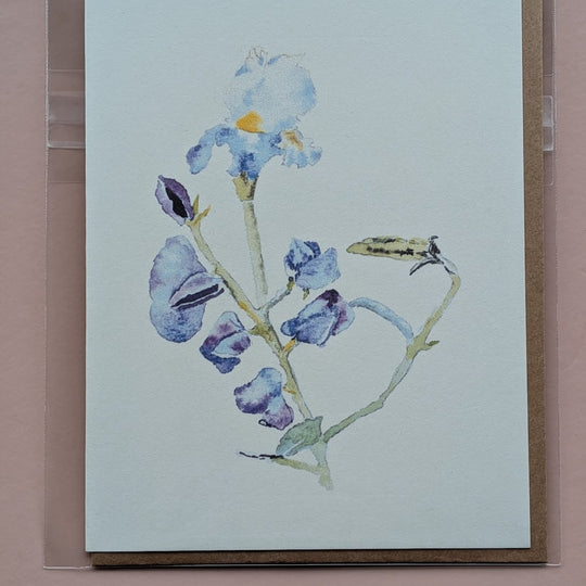 Watercolor Greeting Cards - Birthday, Thank You or Blank