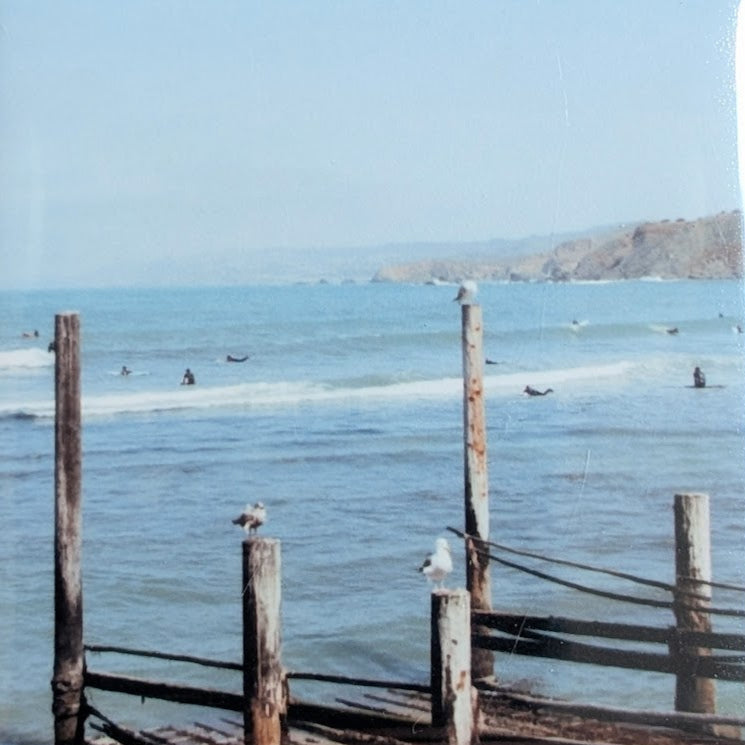 Surf + Beach Magnet by The Girl and Her Lens