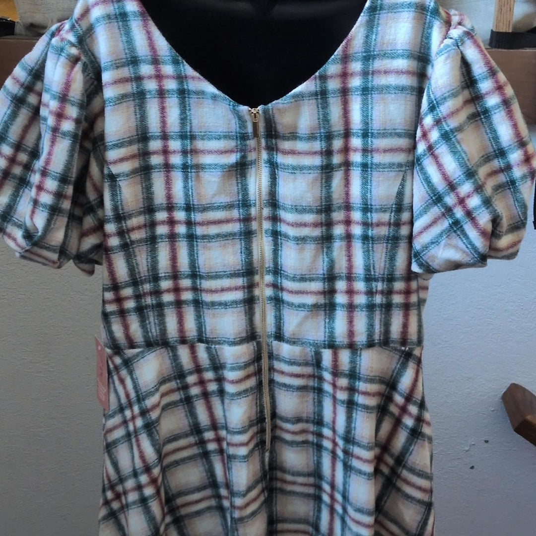 Ivy City Co Molly Plaid Flare Dress - 1XL