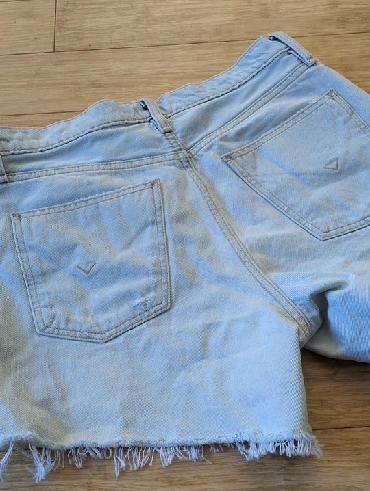 Hudson Devon Distressed Jean Shorts - 29