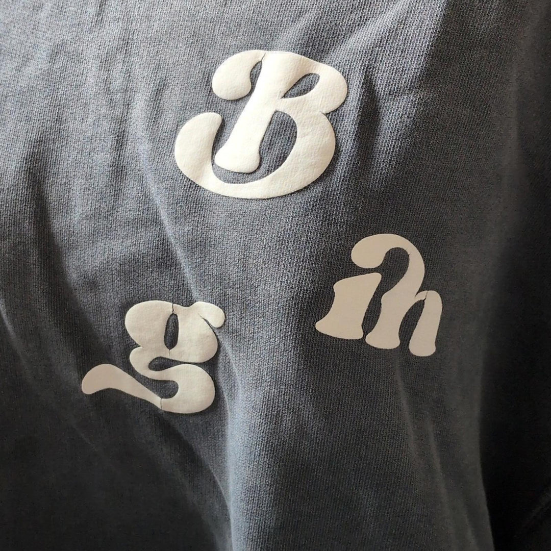 Anine Bing Alec Vintage Wash Hoodie In Gray