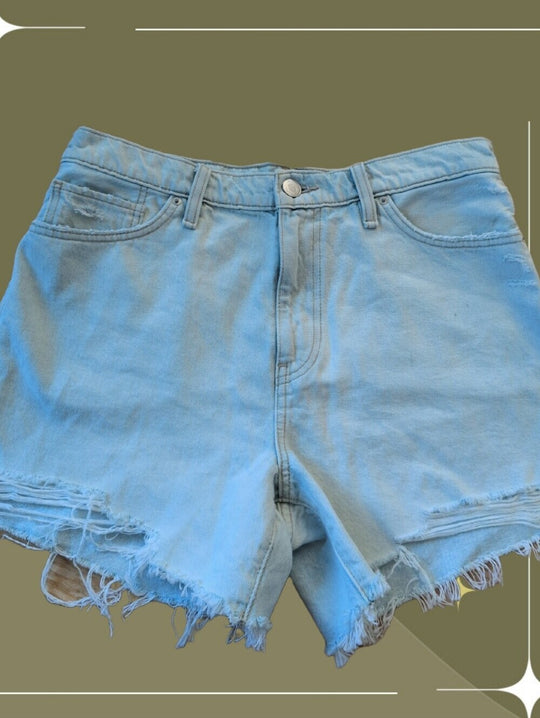 Hudson Devon Distressed Jean Shorts - 29