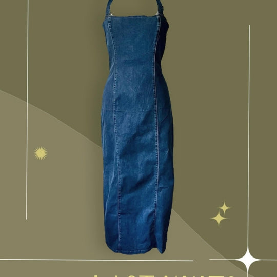 Reformation Evita Denim Dress - US 10