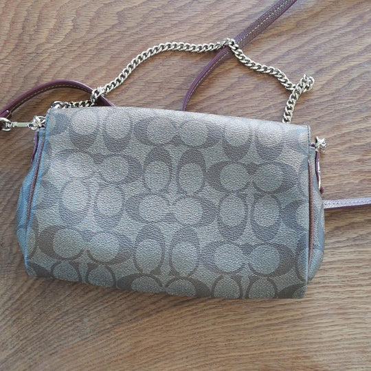 Coach Mini Ruby Crossbody Bag In Signature Print