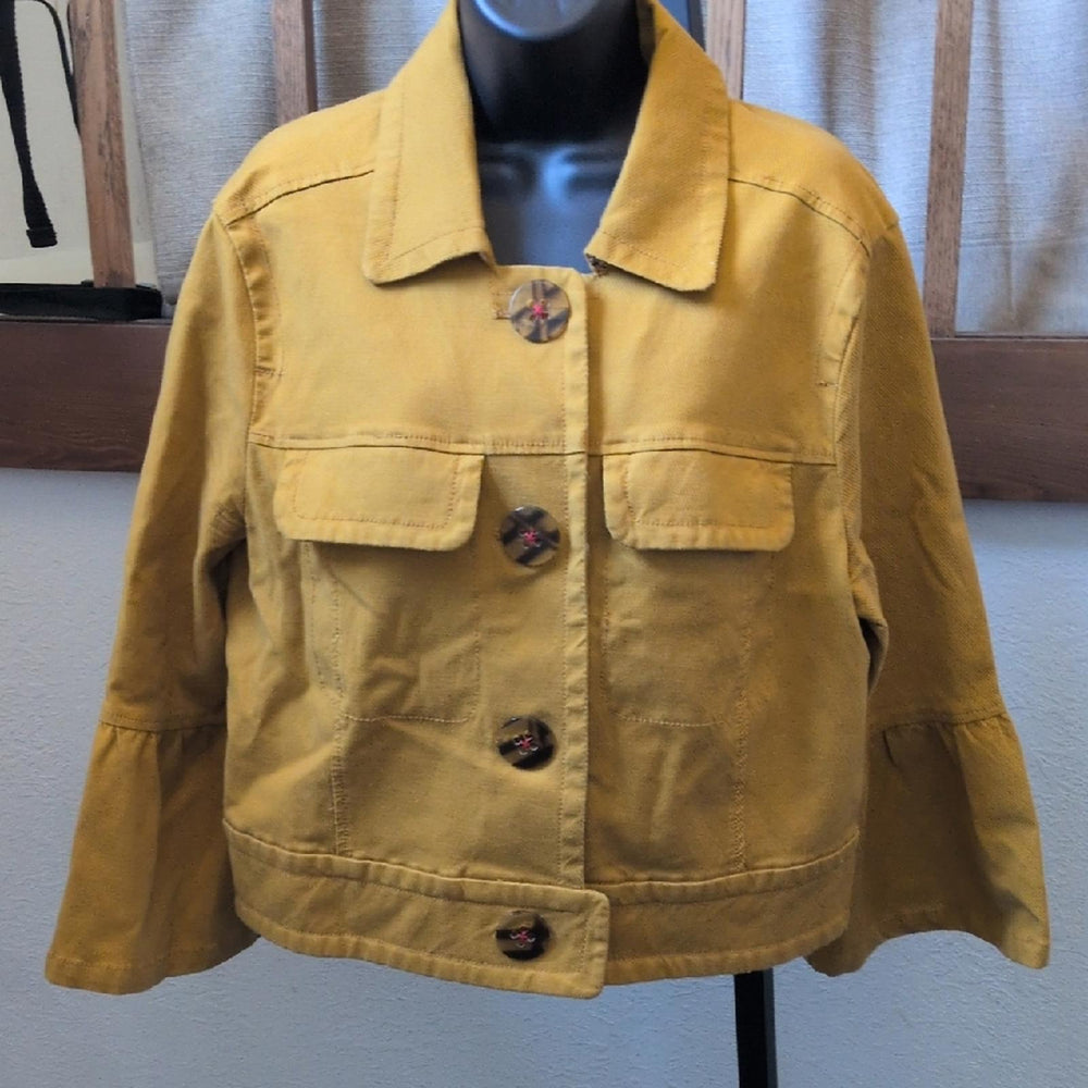 Anthropologie Nora flounce sleeve jacket - Large