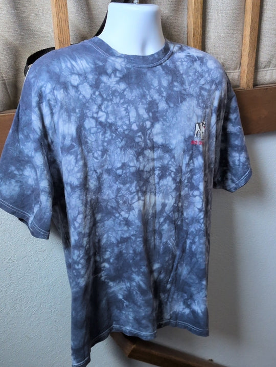 Vintage 90s I Am The Big dog Tee By Big dogs -  XL