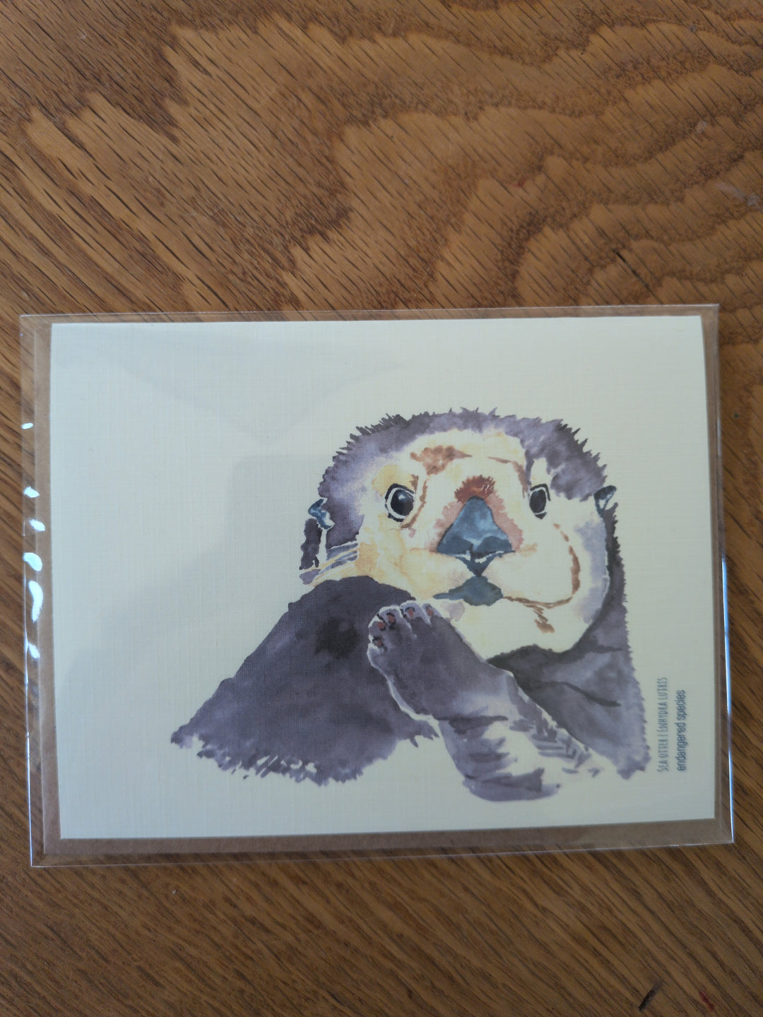 Watercolor Greeting Cards - Birthday, Thank You or Blank